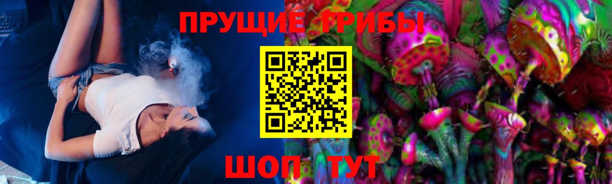Химки  где купить   Вход с VPN  Галлюциногенные грибы Psilocybe 